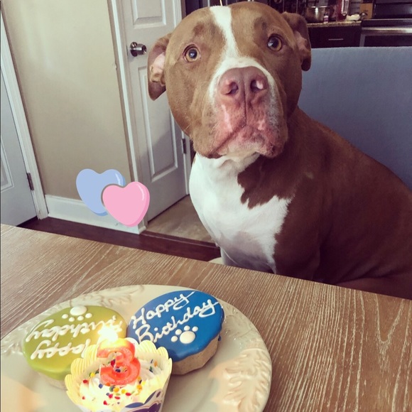 Meet your Posher, Gabriela - Picture 10 of 16